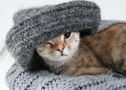 Морозные ночи ожидаются в первую половину недели в Морозовске