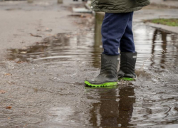 Ветер, дождь и пониженное атмосферное давление ожидаются в Морозовске 24 марта