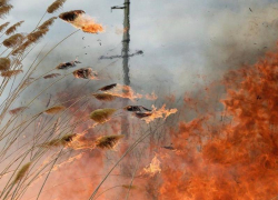 Чрезвычайная пожароопасность ожидается на Дону в ближайшие несколько дней