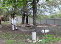 Командно-штабные учения по ликвидации очага сибирской язвы животных прошли в Морозовском районе