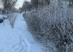 Мороз, ветер и ледяной дождь: синоптики предупреждают о погодной ловушке в ближайшие сутки