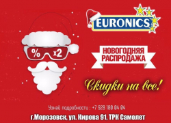 Успей на новогоднюю распродажу в Euronics!