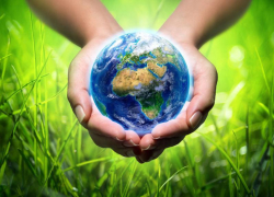 Эко-акция по уборке лесного массива пройдет в Морозовске 18 сентября