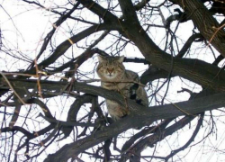 Небольшое потепление ожидается в Морозовске на выходных