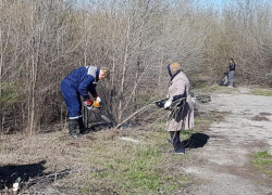 Всем участникам большого общегородского субботника в Морозовске выразили благодарность