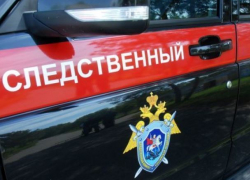 Следственный комитет взялся проверять обстоятельства избиения Любы в Морозовске