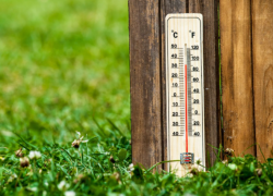  До +31 градуса и без осадков: в середине недели в Морозовске будет жарко