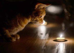 Часть улиц в Морозовске останется без света 14 октября