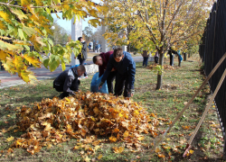 Студенты очистили городской парк от упавшей листвы и мусора