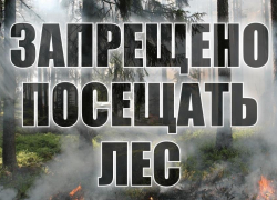 Опасно и нельзя: жителей Морозовска попросили быть осторожнее с огнем и не ходить в лес
