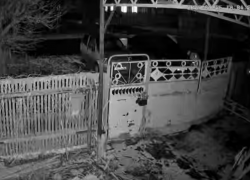 Банда малолетних хулиганов повредила автомобиль жителя Морозовска 
