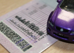 Граждане ДНР, ЛНР и Украины смогут обменять водительские удостоверения в России без сдачи экзаменов