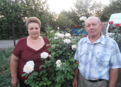 Полвека вместе: супруги Божковы из хутора Вознесенский отмечают золотую свадьбу