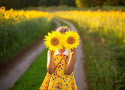 Солнечно, ветрено и умеренно жарко будет в Морозовске 8 июля