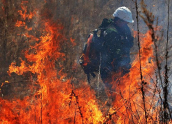 Чрезвычайная пожароопасность сохранится в Ростовской области до начала следующей недели