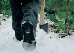 Лишением свободы и штрафами пригрозили региональные власти жителям Морозовска за незаконную вырубку ёлок