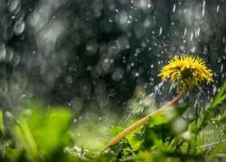 Небольшие осадки и похолодание прогнозируют морозовчанам в субботу, 11 апреля