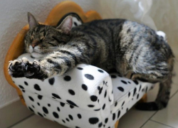 Нашли для себя увлекательное занятие, пока сидите дома? Расскажите о нем в рубрике "Сидим дома"!