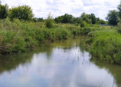 Главная для Морозовского района река Быстрая может погибнуть уже в ближайшие годы