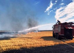 Выжигание стерни и сухой травы грозит жителям Морозовского района административной и уголовной ответственностью