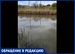 Серо-зеленая вода и вонь: председатель СНТ "Заря" в Морозовске снял на видео реку Быструю