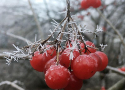 Небольшой "-" во второй половине дня ожидается в Морозовске 3 января