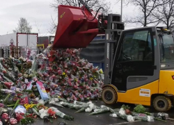 Цветочная отрасль на грани разорения: российские предприниматели объединяются, чтобы спасти бизнес