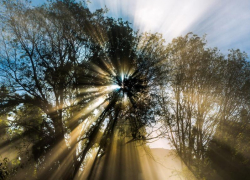 Середина недели в Морозовске будет солнечной и относительно теплой