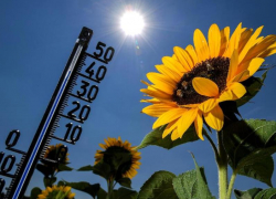 Жара до +36 градусов ожидает морозовчан в субботу, 31 июля