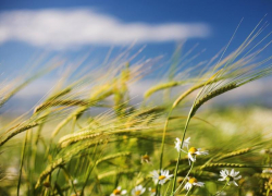 Ветреным и облачным окажется в Морозовске последний день уходящей недели