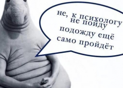 Не будь ждуном: запишись к психологу