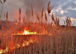 Морозовчанам напомнили о риске возникновения природных пожаров