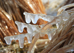 Одевайтесь теплее: Морозный и пасмурный день обещают синоптики в среду, 2 декабря