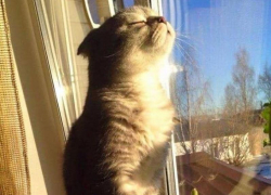 Долгожданное потепление придет в Морозовск в пятницу, 27 марта