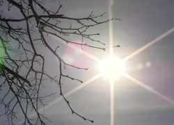 Всего до 10 градусов тепла обещают морозовчанам в четверг, 2 апреля