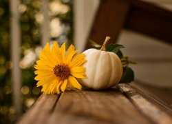 Температура воздуха в Морозовске в начале и в конце недели будет различаться на 10 градусов