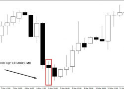 Советы новичкам по ведению успешного трейдинга