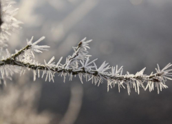 Пасмурную погоду без осадков прогнозируют синоптики в четверг