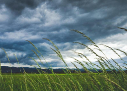 Всего + 25 градусов тепла обещают морозовчанам в субботу