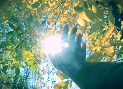 Четверг для морозовчан может стать самым теплым днем недели