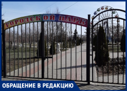 Выходной день морозовчане с детьми хотели провести в парке