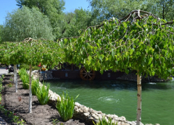 Расскажите о своих личных достижениях в новой рубрике "Хозяйство"