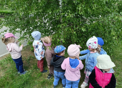 Дети гладили березку и прятались под ее ветками: в детском саду "Сказка" в Морозовске прошло увлекательное занятие по ознакомлению с окружающим миром