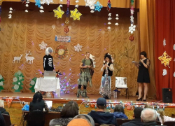 Театрализованное представление «Новогодний переполох» устроили в станице Вольно-Донской