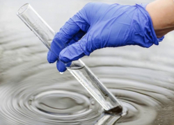 Города с наиболее загрязненными водоемами Ростовской области назвали в региональном Управлении Роспотребнадзора 