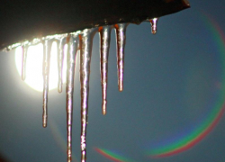 До 2 градусов тепла обещают морозовчанам днем, 25 января