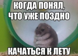 Летом тоже нужно заниматься собой: тренажерные залы ждут вас