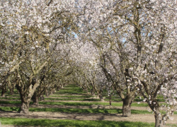 До 20 градусов тепла обещают морозовчанам в воскресенье