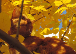 Неизменно солнечную погоду обещают синоптики и в пятницу