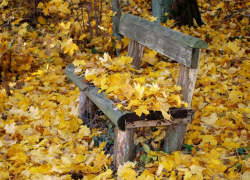 Пасмурно, но сухо будет в Морозовске в пятницу, 15 октября